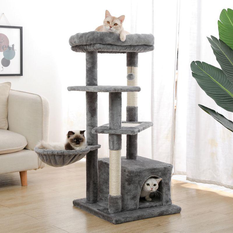 Arbre à Chat selon la Couleur