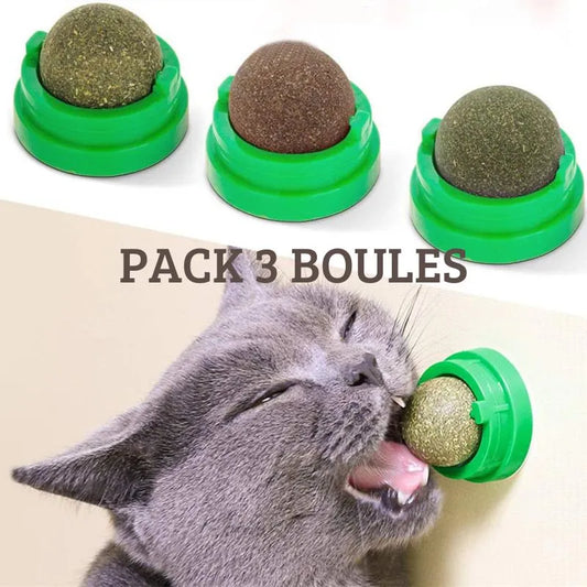 Boule d'Herbe à Chat