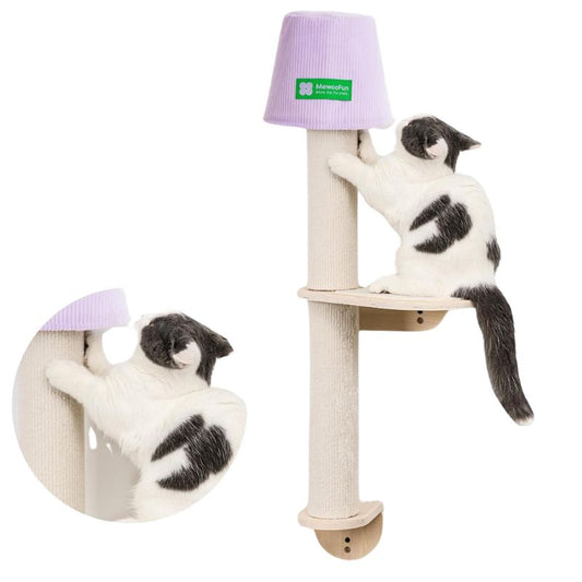 Griffoir de fenêtre design lampe de chevet pour chat