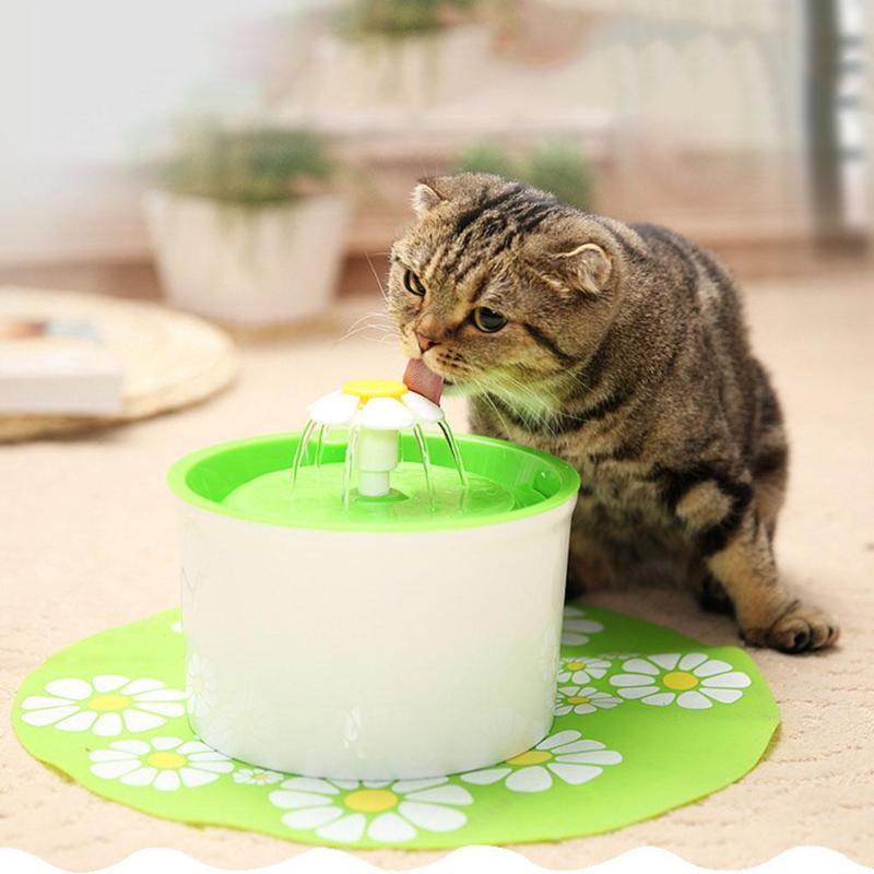 Fontaine à Eau Pour Chat 