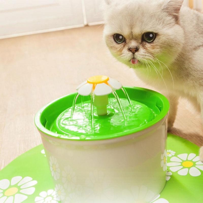 Fontaine à Eau Pour Chat 