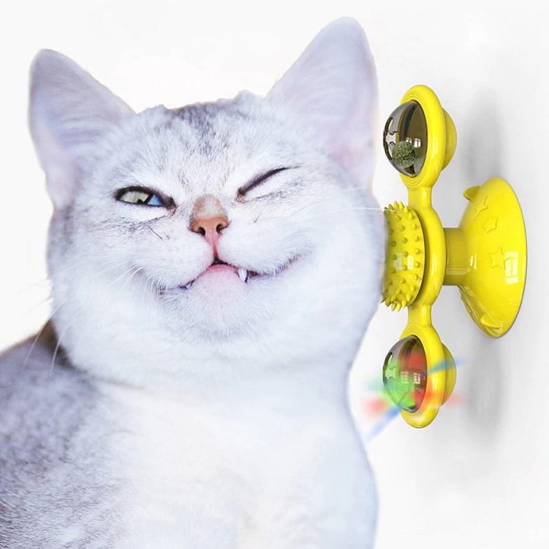 SpinCat™ Meilleur Jouet Interactif Pour Chat et Chaton